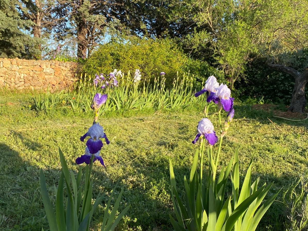 Villa Faro Provence Var Montfort-sur-Argens Eksteriør bilde