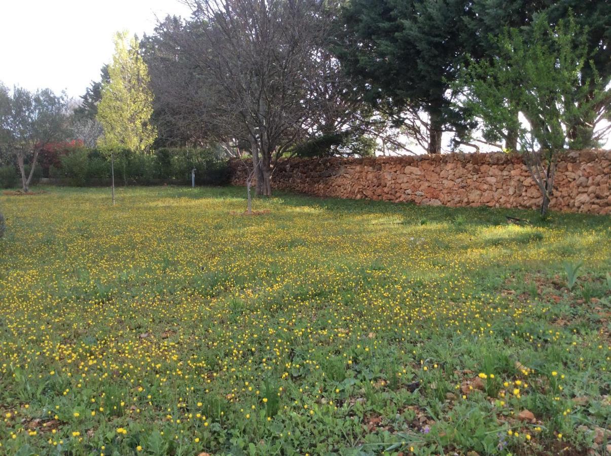 Villa Faro Provence Var Montfort-sur-Argens Eksteriør bilde